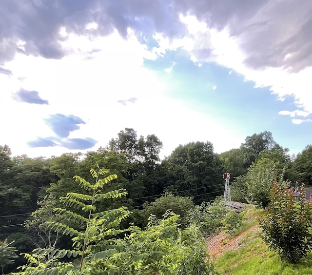 690 Ditch Gap Rd, Whitwell, TN 37397 - view of wooded area