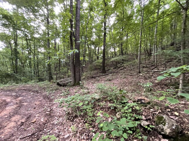 690 Ditch Gap Rd, Whitwell, TN 37397 - view of tree filled area
