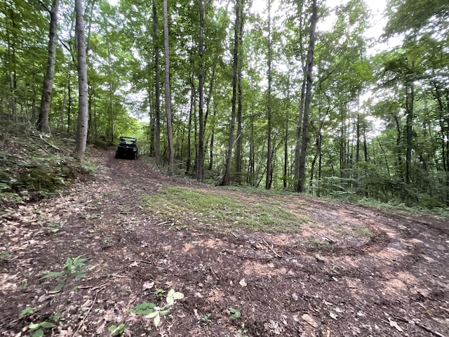 690 Ditch Gap Rd, Whitwell, TN 37397 - view of woods