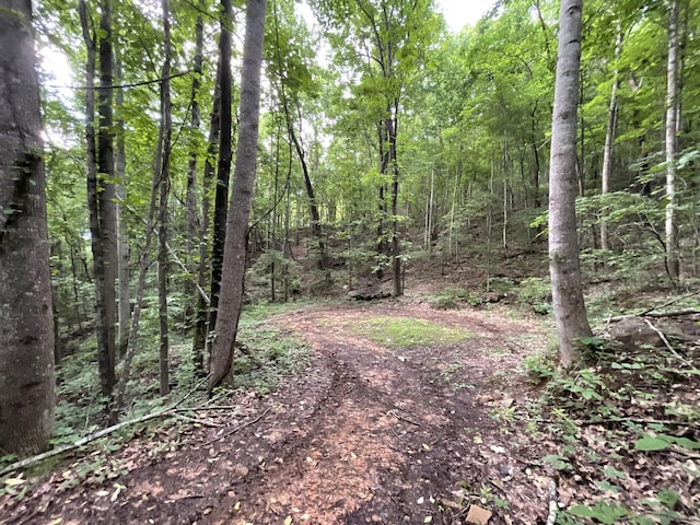 690 Ditch Gap Rd, Whitwell, TN 37397 - view of tree filled area