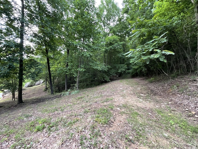 690 Ditch Gap Rd, Whitwell, TN 37397 - view of wooded area