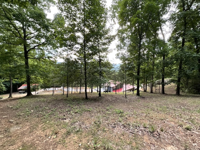 690 Ditch Gap Rd, Whitwell, TN 37397 - view of yard