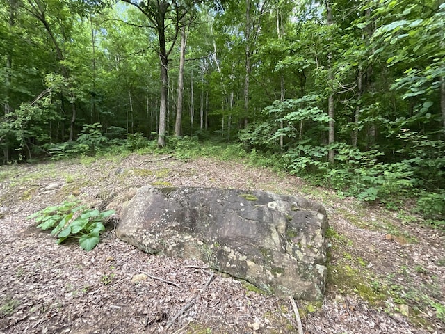 690 Ditch Gap Rd, Whitwell, TN 37397 - view of wooded area