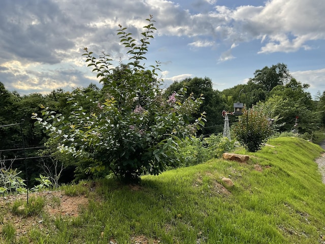 690 Ditch Gap Rd, Whitwell, TN 37397 - view of yard