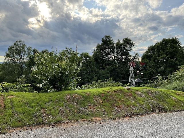 690 Ditch Gap Rd, Whitwell, TN 37397 - view of road