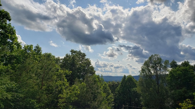 690 Ditch Gap Rd, Whitwell, TN 37397 - mountain view featuring a heavily wooded area