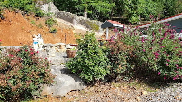 690 Ditch Gap Rd, Whitwell, TN 37397 - view of yard featuring a playground