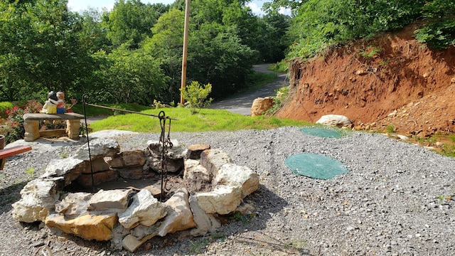 690 Ditch Gap Rd, Whitwell, TN 37397 - view of yard