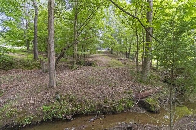 989 Kay Conley Rd, Rock Spring, GA 30739 - photo 64