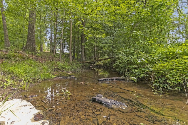 989 Kay Conley Rd, Rock Spring, GA 30739 - photo 71