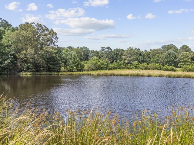 989 Kay Conley Rd, Rock Spring, GA 30739 - photo 83