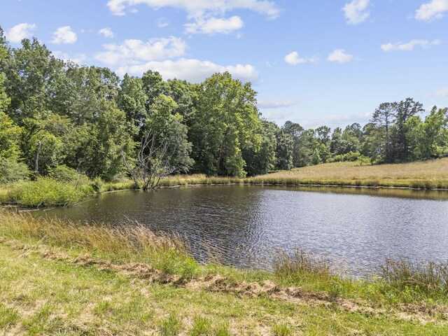 989 Kay Conley Rd, Rock Spring, GA 30739 - photo 84