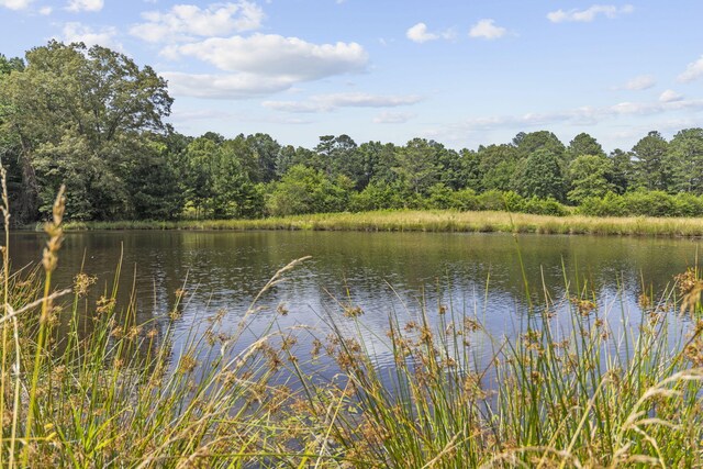 989 Kay Conley Rd, Rock Spring, GA 30739 - photo 85