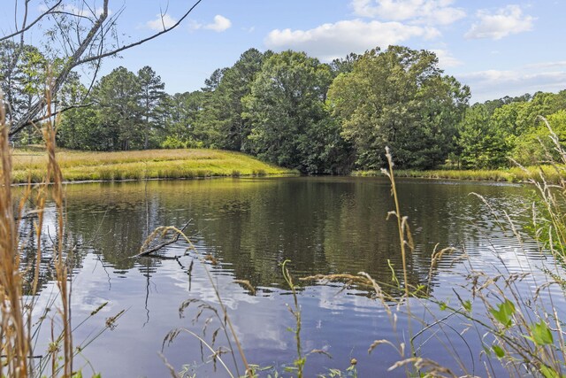 989 Kay Conley Rd, Rock Spring, GA 30739 - photo 86