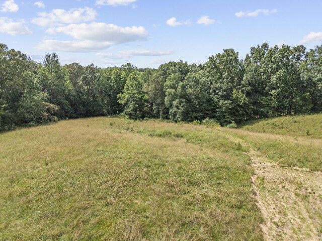 989 Kay Conley Rd, Rock Spring, GA 30739 - photo 93