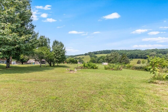 261 County Road 265, Niota, TN 37826 - photo 4