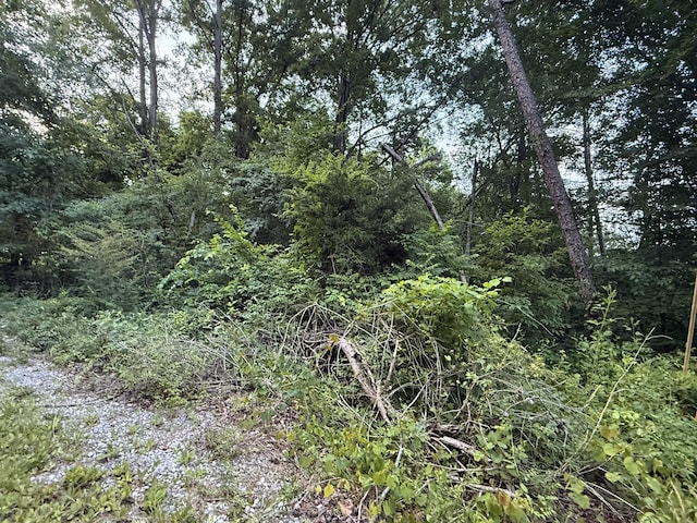 0 Morrison Ln, Ringgold, GA 30736