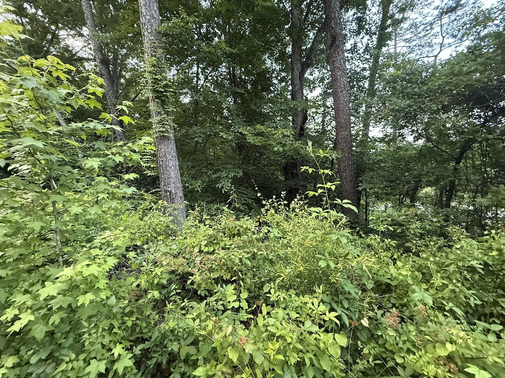 0 Morrison Ln, Ringgold, GA 30736