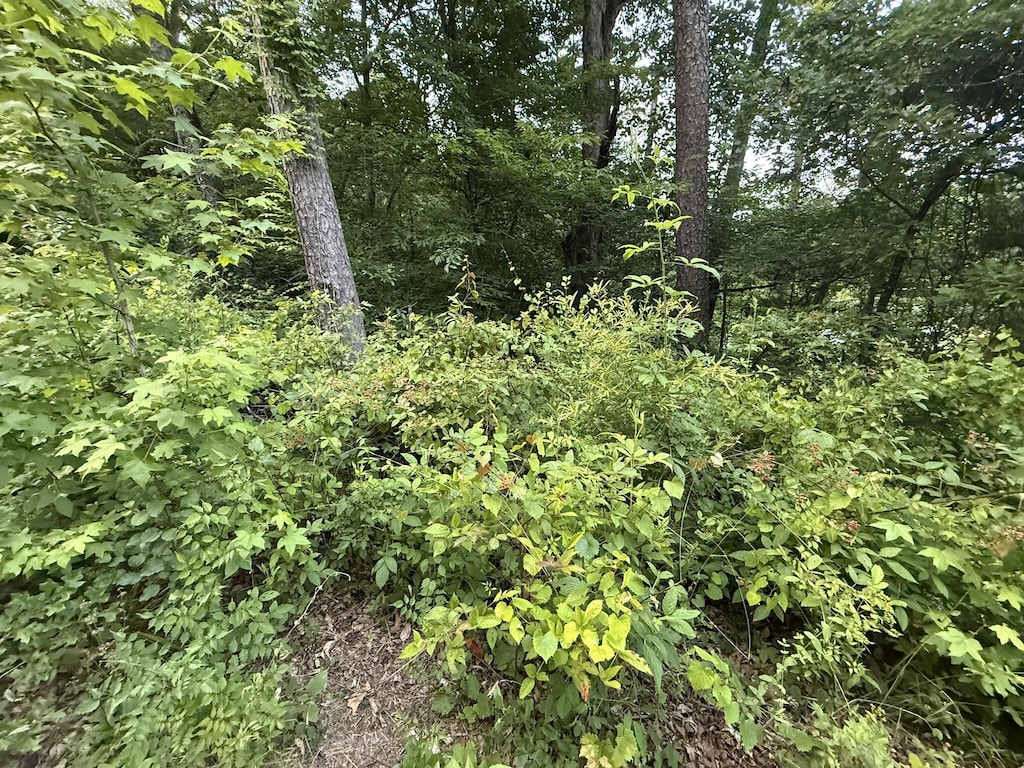 0 Morrison Ln, Ringgold, GA 30736