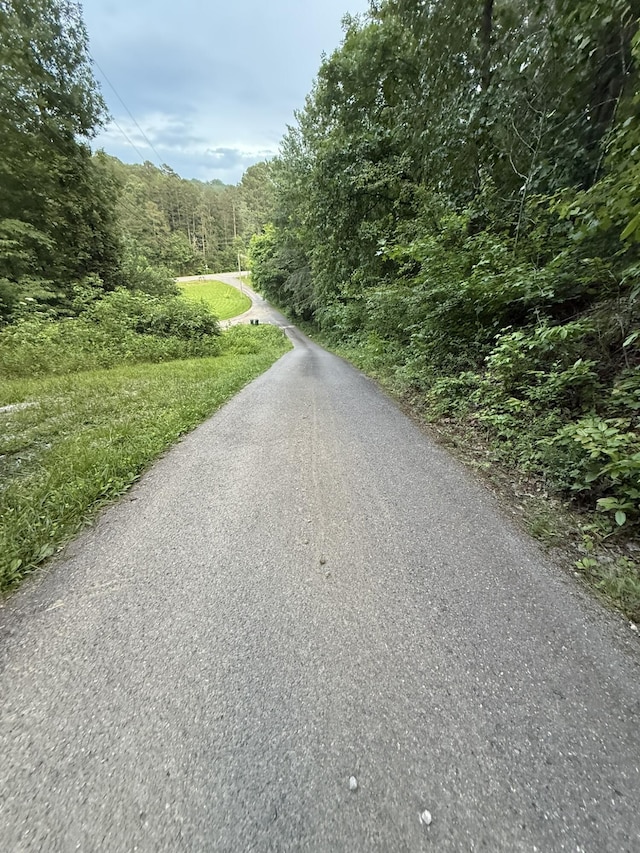 0 Morrison Ln, Ringgold, GA 30736