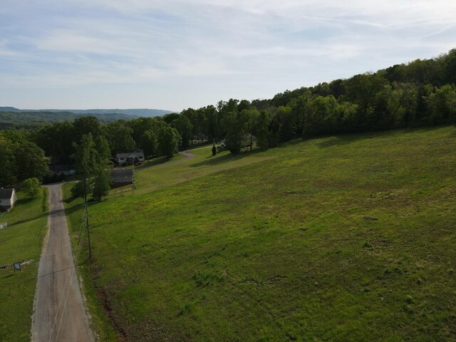 LOT2 Derek Dr, Jasper, TN 37347 - photo 6