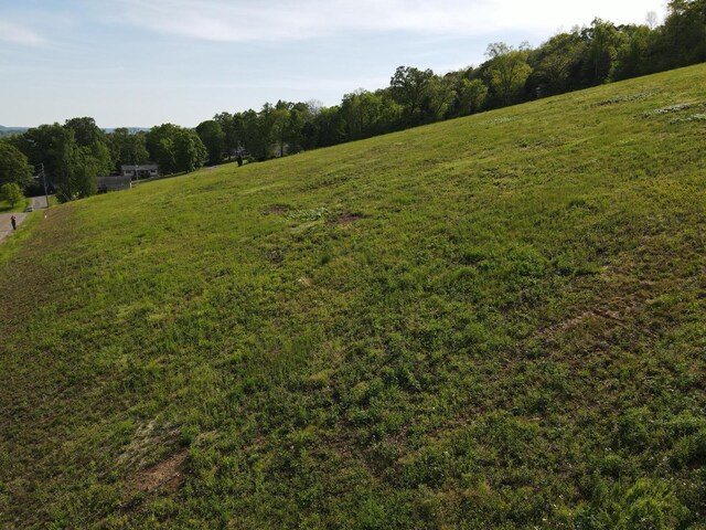 LOT2 Derek Dr, Jasper, TN 37347 - photo 7