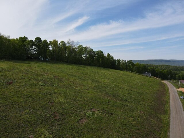 LOT2 Derek Dr, Jasper, TN 37347 - photo 9