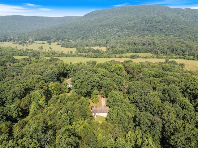 487 Ridge Rd, Lafayette, GA 30728 - view of property location with a forest and mountains