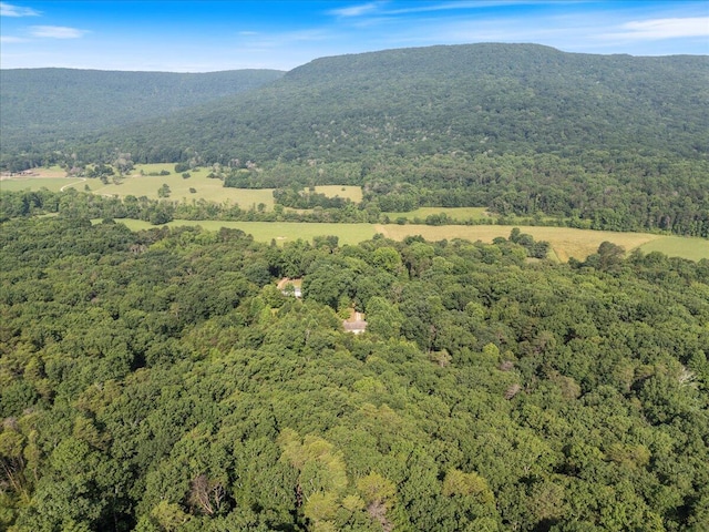 487 Ridge Rd, Lafayette, GA 30728 - aerial view of property's location featuring a forest and a mountain backdrop