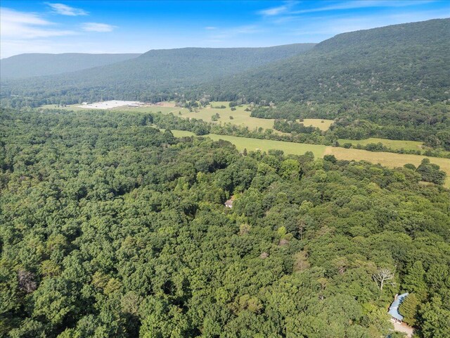 487 Ridge Rd, Lafayette, GA 30728 - view of property location with a forest and a mountain backdrop