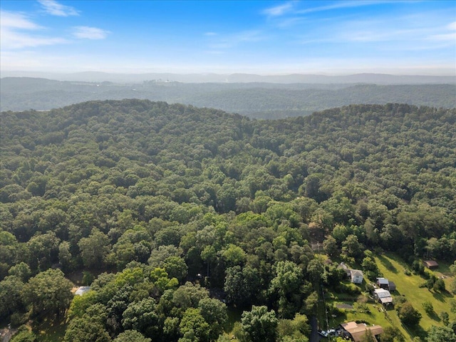487 Ridge Rd, Lafayette, GA 30728 - bird's eye view of a heavily wooded area and a mountainous background