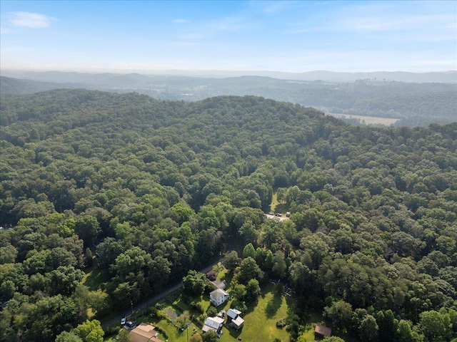 487 Ridge Rd, Lafayette, GA 30728 - aerial view of a forest and mountains
