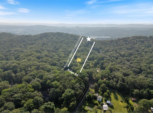 487 Ridge Rd, Lafayette, GA 30728 - aerial view of property and surrounding area with a forest, mountains, and property parcel outlined