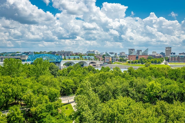 200 Manufacturers Rd Apt 507, Chattanooga, TN 37405 - view of urban area featuring a notable bridge