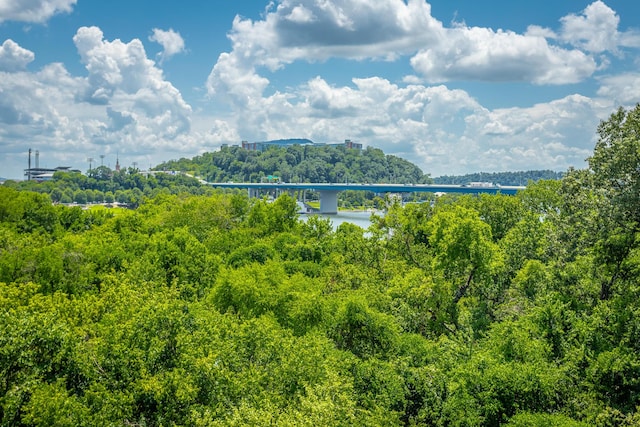 200 Manufacturers Rd Apt 507, Chattanooga, TN 37405 - water view featuring a notable bridge and a heavily wooded area