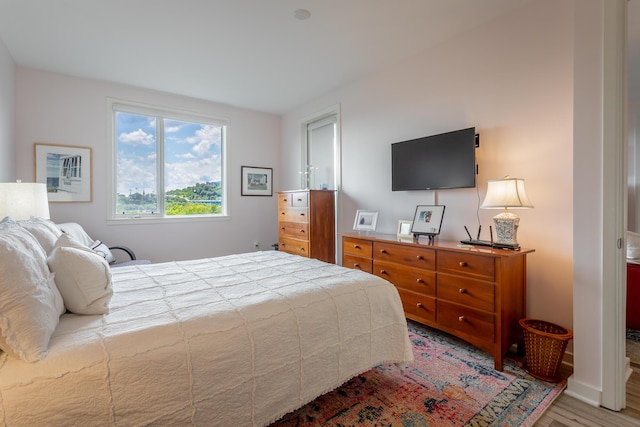 200 Manufacturers Rd Apt 507, Chattanooga, TN 37405 - bedroom featuring light wood finished floors