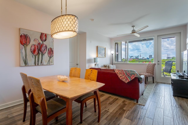 200 Manufacturers Rd Apt 507, Chattanooga, TN 37405 - dining room featuring wood finished floors and ceiling fan