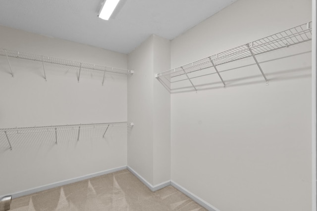 6590 Hickory Brook Rd, Chattanooga, TN 37421 - spacious closet with light colored carpet