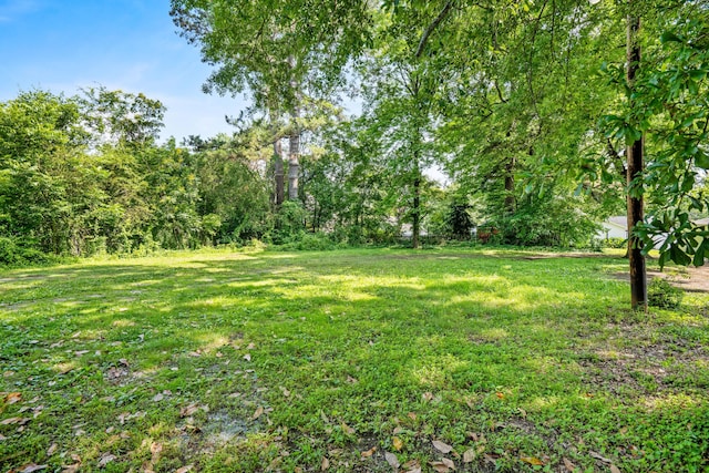 208 E Villanow St, Lafayette, GA 30728 - view of yard