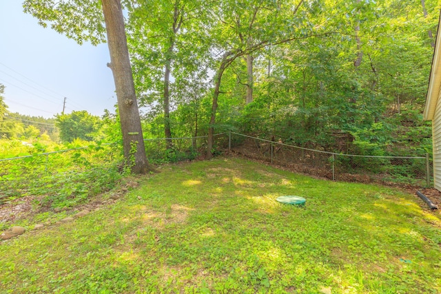 1806 Dallas Lake Rd, Soddy Daisy, TN 37379 - view of yard
