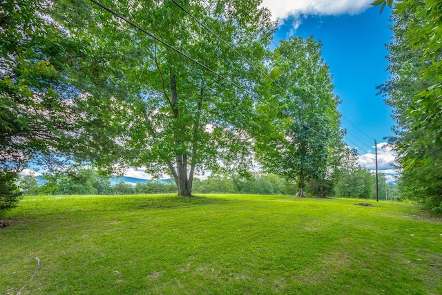 226 Hill Dr, Dunlap, TN 37327 - photo 5