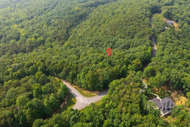 0 Shivas Crst Lot 52, Rising Fawn, GA 30738