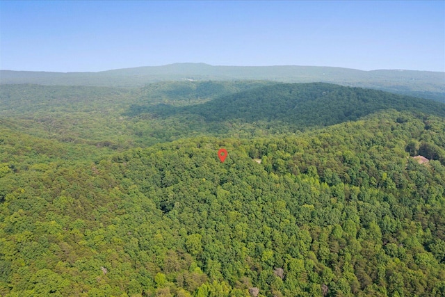 0 Shivas Crst Lot 52, Rising Fawn, GA 30738
