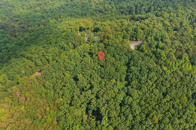 0 Shivas Crst Lot 52, Rising Fawn, GA 30738
