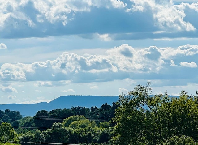 81 Arnold Rd, Rock Spring, GA 30739 - view of mountain backdrop