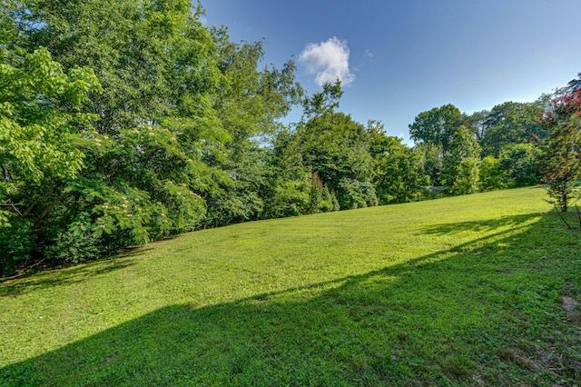9443 Harris St, Soddy Daisy, TN 37379 - photo 35