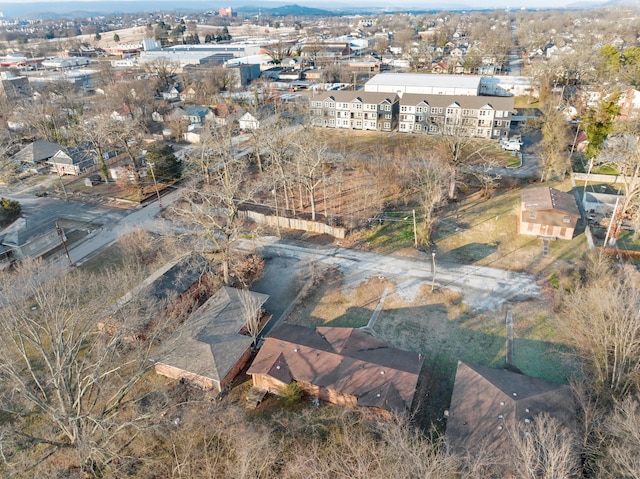 1630 E 17th St, Chattanooga, TN 37404 - aerial view of property and surrounding area