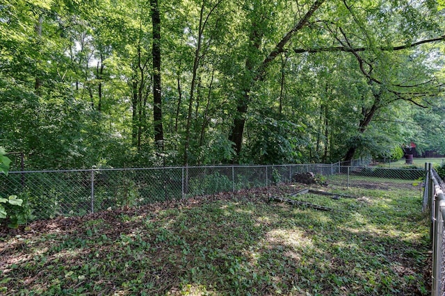 1373 Meadowood Dr, Hixson, TN 37343 - view of yard