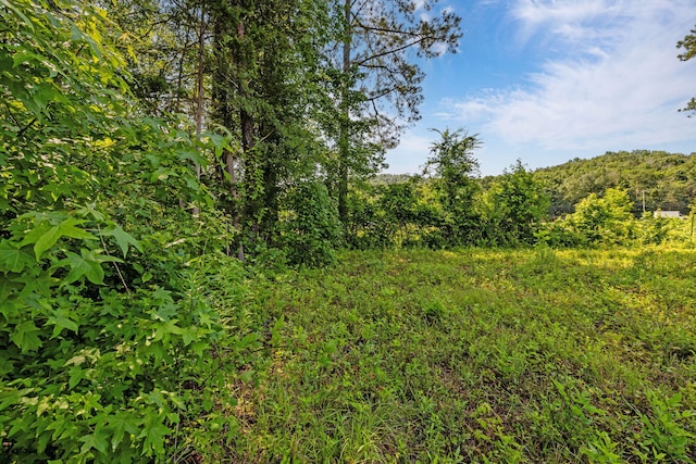 1969 Thrasher Pike, Hixson, TN 37343