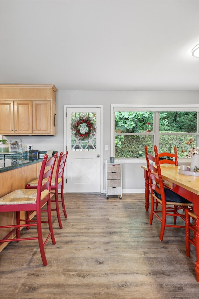 787 Flinn Dr, Chattanooga, TN 37412 - dining area featuring healthy amount of natural light, baseboards, and wood finished floors